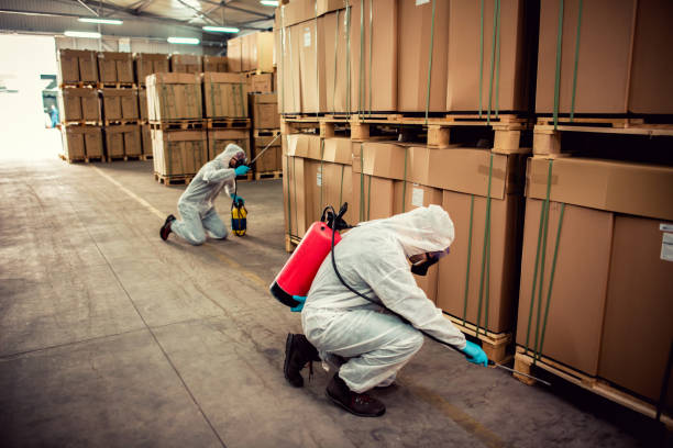 Reliable Carthage, NC Pest Control Solutions