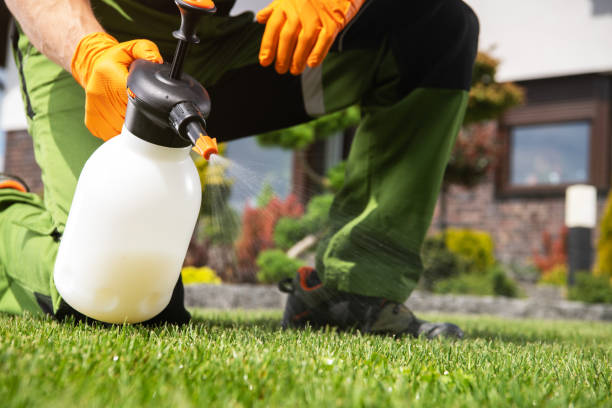 Best Insect Control  in Carthage, NC