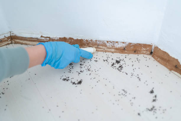 Pest Control for Restaurants in Carthage, NC
